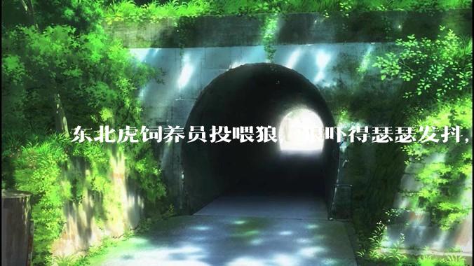 东北虎饲养员投喂狼，狼吓得瑟瑟发抖，真的是「血脉压制」吗？可能是哪些原因造成的？